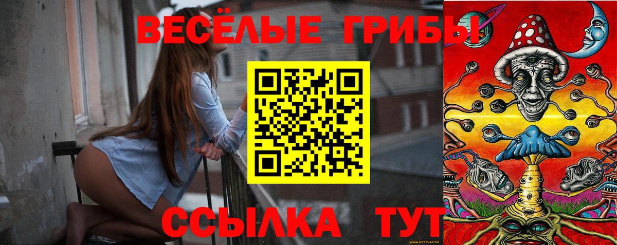 Кандалакша  Галлюциногенные грибы GOLDEN TEACHER  Псилоцибиновые грибы ЛСД  Вход с VPN 