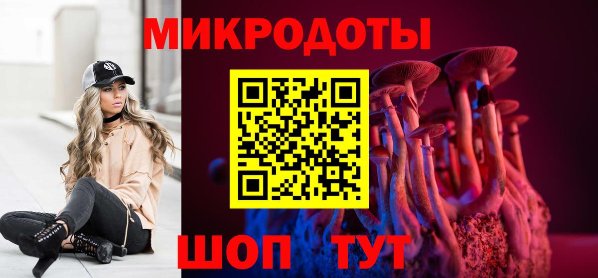 Галлюциногенные грибы Psilocybe Кандалакша
